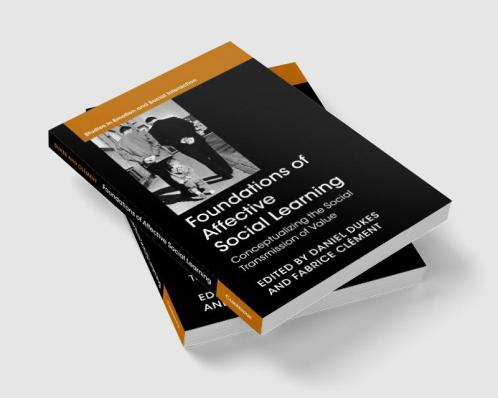 Foundations of Affective Social Learning