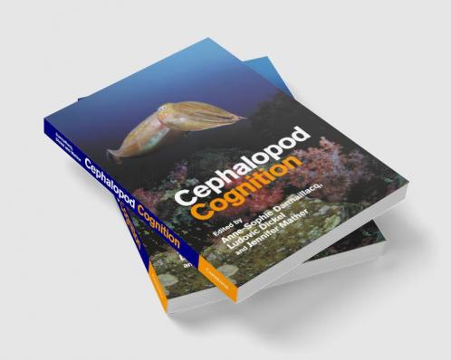 Cephalopod Cognition