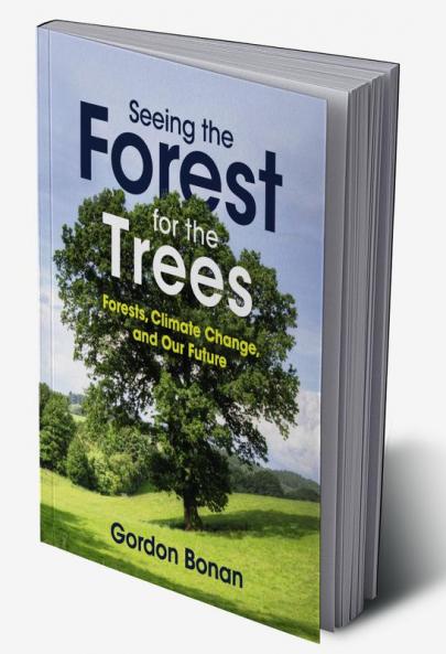 Seeing the Forest for the Trees