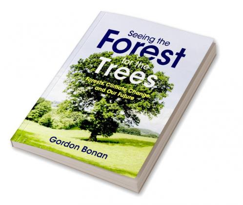 Seeing the Forest for the Trees