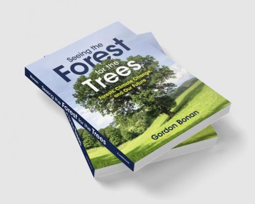 Seeing the Forest for the Trees
