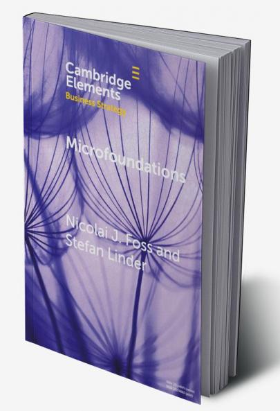 Microfoundations