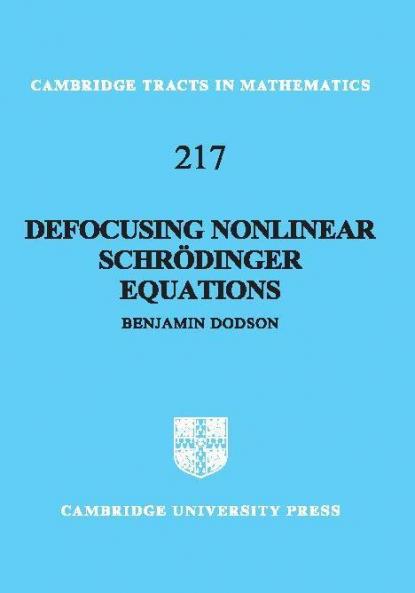 Defocusing Nonlinear Schrödinger Equations