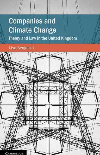 Companies and Climate Change