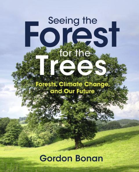 Seeing the Forest for the Trees