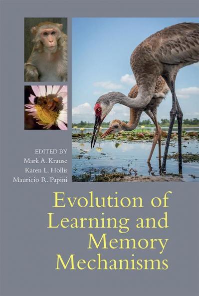 Evolution of Learning and Memory Mechanisms