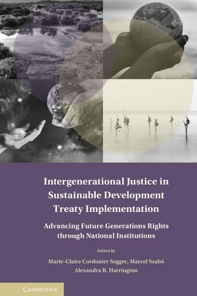 Intergenerational Justice in Sustainable Development Treaty Implementation