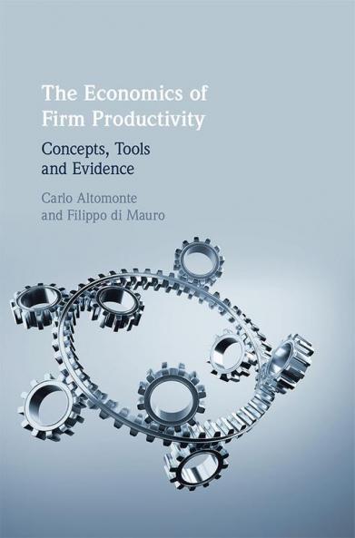 The Economics of Firm Productivity