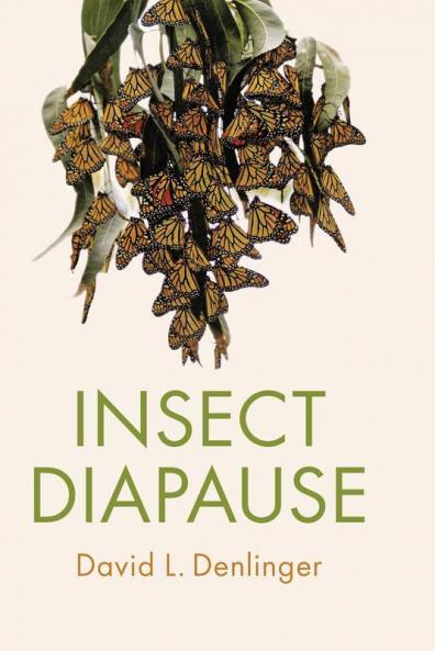 Insect Diapause