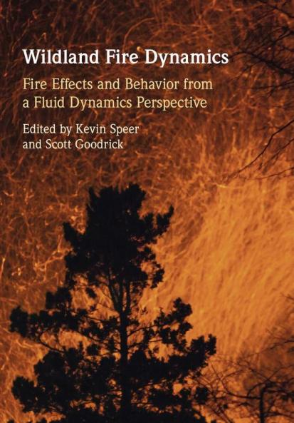 Wildland Fire Dynamics