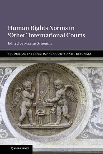 Human Rights Norms in 'Other' International Courts
