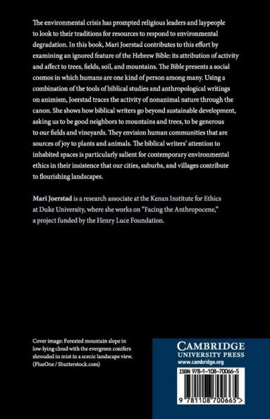 The Hebrew Bible and Environmental Ethics