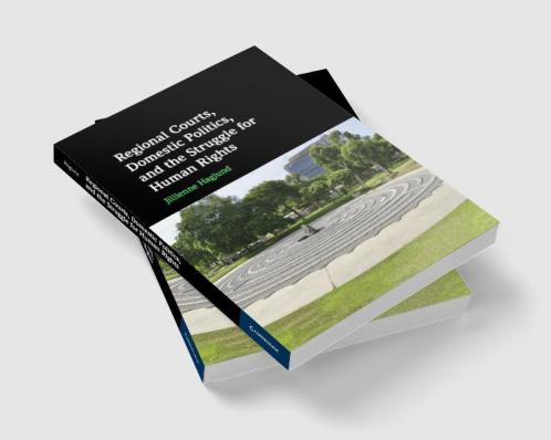 Regional Courts Domestic Politics and the Struggle for Human Rights