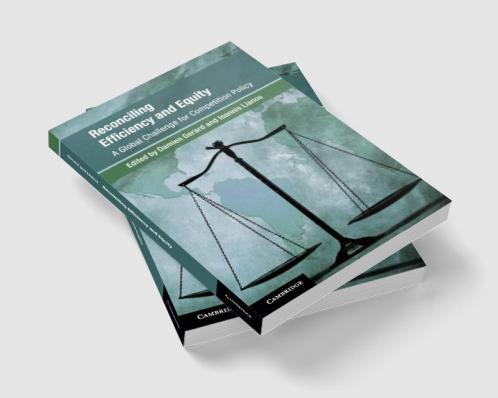 Reconciling Efficiency and Equity