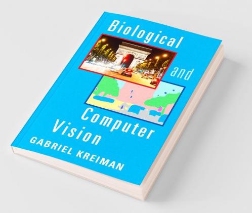 Biological and Computer Vision