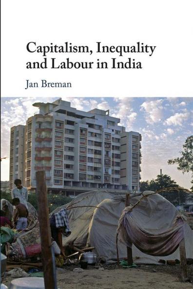 Capitalism Inequality and Labour in India