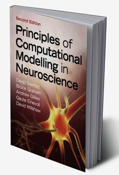 Principles of Computational Modelling in Neuroscience