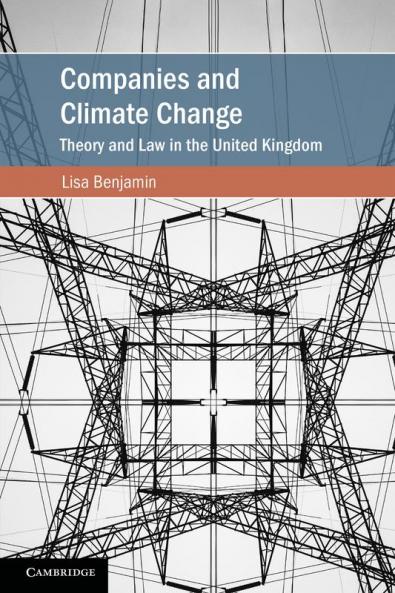 Companies and Climate Change