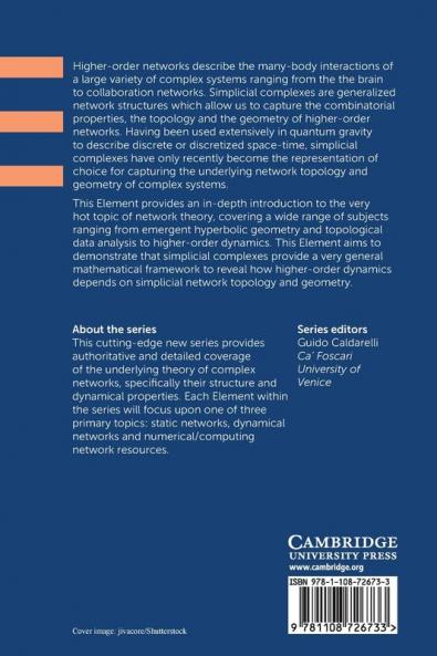 Higher-Order Networks