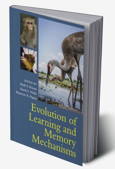 Evolution of Learning and Memory Mechanisms