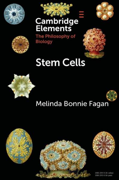 Stem Cells