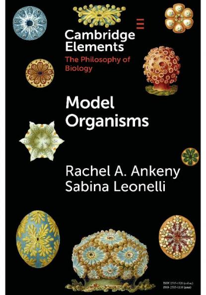 Model Organisms