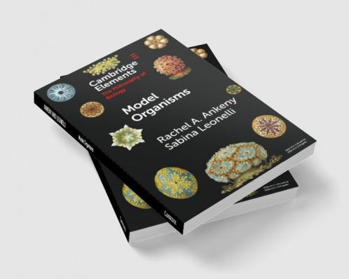 Model Organisms