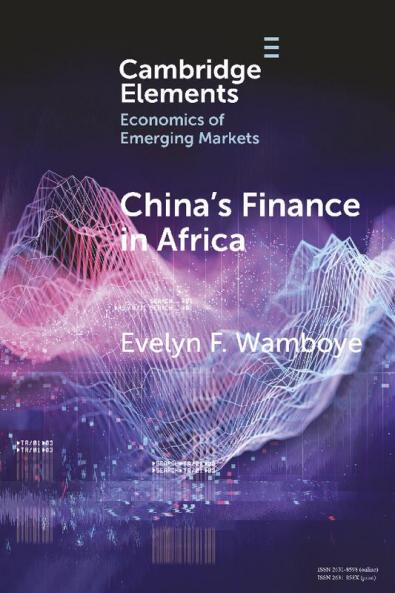 China's Finance in Africa