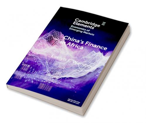 China's Finance in Africa