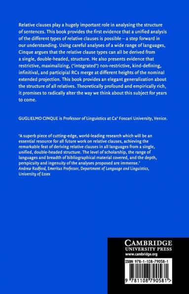 The Syntax of Relative Clauses