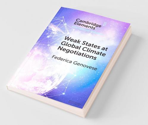 Weak States at Global Climate Negotiations