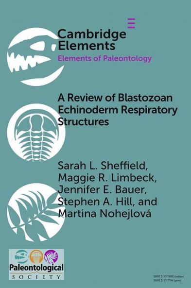 A Review of Blastozoan Echinoderm Respiratory Structures