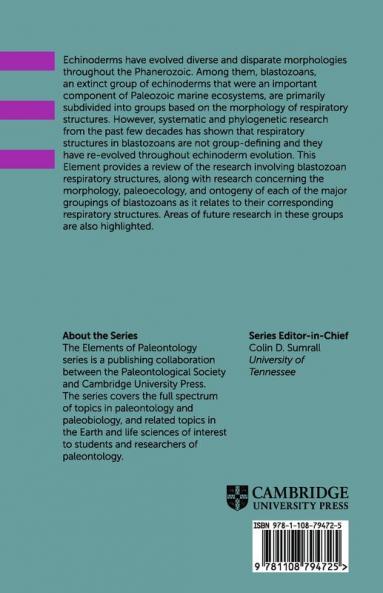A Review of Blastozoan Echinoderm Respiratory Structures