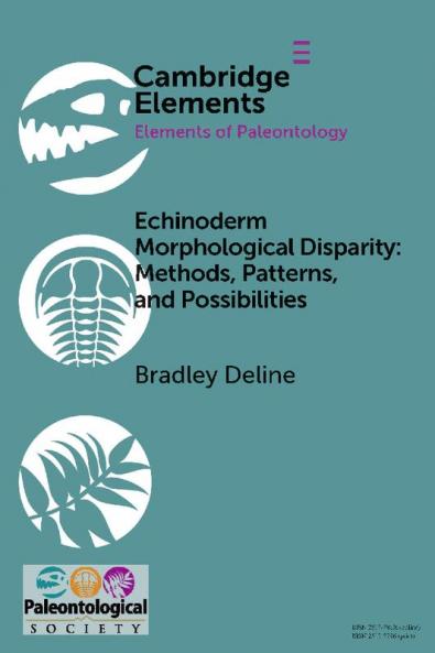 Echinoderm Morphological Disparity