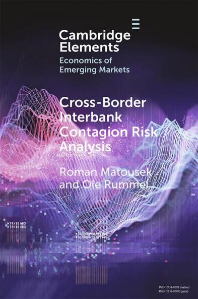 Cross-Border Interbank Contagion Risk Analysis