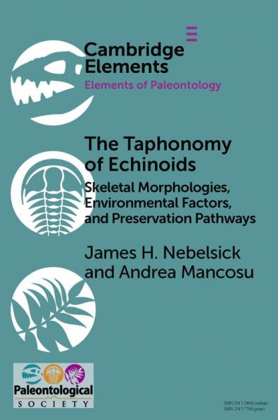 The Taphonomy of Echinoids