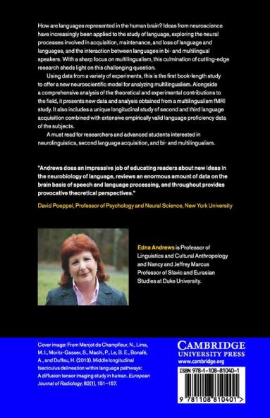 Neuroscience and Multilingualism