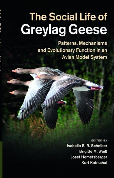 The Social Life of Greylag Geese