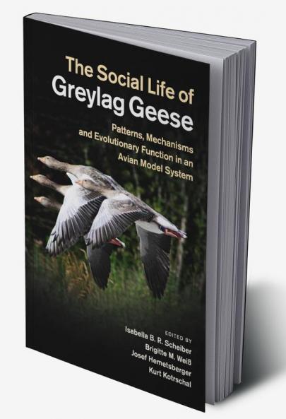 The Social Life of Greylag Geese