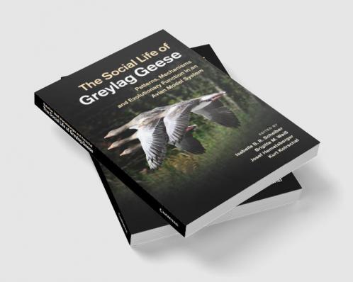 The Social Life of Greylag Geese