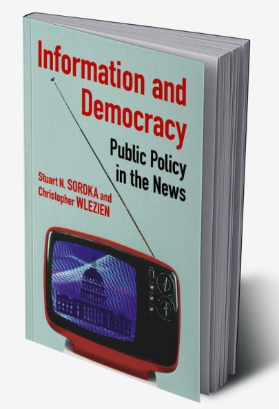 Information and Democracy