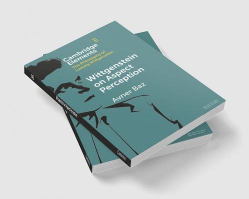 Wittgenstein on Aspect Perception