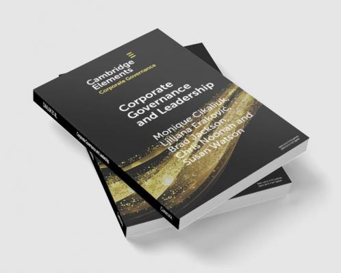 Corporate Governance and Leadership