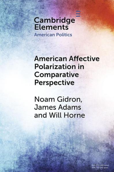 American Affective Polarization in Comparative Perspective