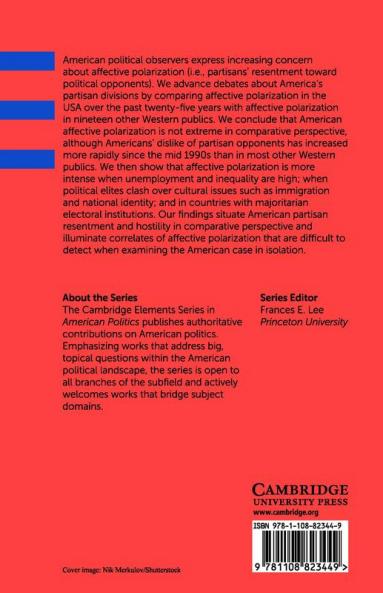 American Affective Polarization in Comparative Perspective