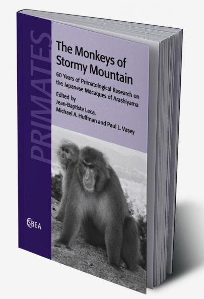 The Monkeys of Stormy Mountain