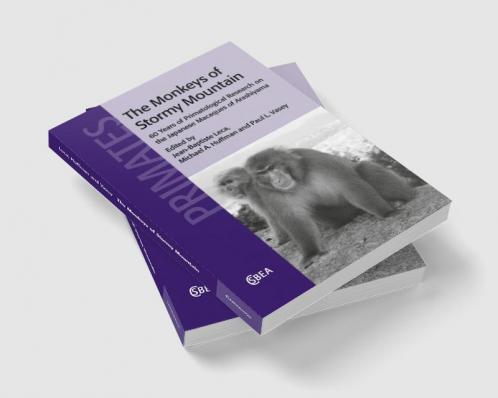 The Monkeys of Stormy Mountain