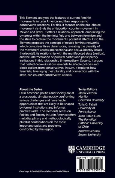 Feminisms in Latin America