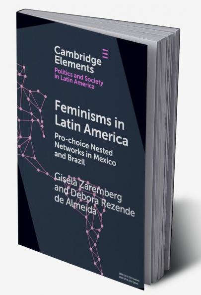Feminisms in Latin America
