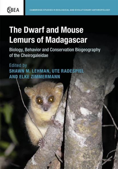 The Dwarf and Mouse Lemurs of Madagascar
